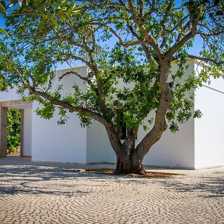 Villa Gd Salento Elegante 2